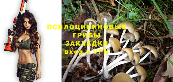 гашиш Арсеньев