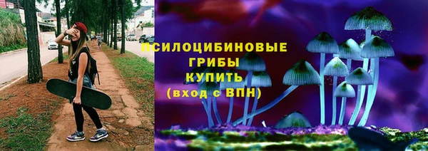 МДПВ Армянск