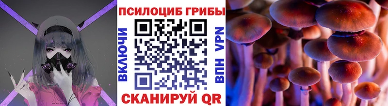 Галлюциногенные грибы прущие грибы  наркота  Дмитров 